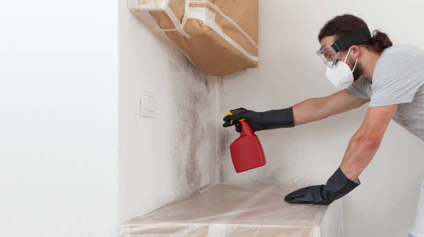 Professional Mold Removal technician working in Lowell, NC